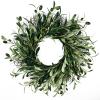 20 Inches Artificial Olive Leaves Wreath, Faux Green Wreath with Olive Fruits, Front Door Wreath Silk Greenery Garland for Wedding Festival Farmhouse Office Wall Window Home Decor view 1
