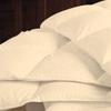 1 PC Box Stitched Ivory Stripe Comforter | Queen/FullSize-All Season Goose Down Feather 100% Egyptian Cotton Yarns- 500 GSM Fill Weight Ultra Soft,Cloud Fluffy Duvet Insert with Corner Tabs view 2