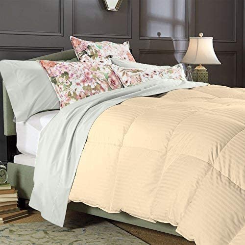 1 PC Box Stitched Ivory Stripe Comforter | Oversized King-All Season Goose Down Feather 100% Egyptian Cotton Yarns- 500 GSM Fill Weight Ultra Soft,Cloud Fluffy Duvet Insert with Corner Tabs