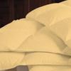 1 PC Box Stitched Gold Stripe Comforter | California King/King-All Season Goose Down Feather 100% Egyptian Cotton Yarns- 500 GSM Fill Weight Ultra Soft,Cloud Fluffy Duvet Insert with Corner Tabs view 2