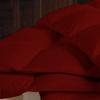 1 PC Box Stitched Burgundy Stripe Comforter | Queen/FullSize-All Season Goose Down Feather 100% Egyptian Cotton Yarns- 500 GSM Fill Weight Ultra Soft,Cloud Fluffy Duvet Insert with Corner Tabs view 2