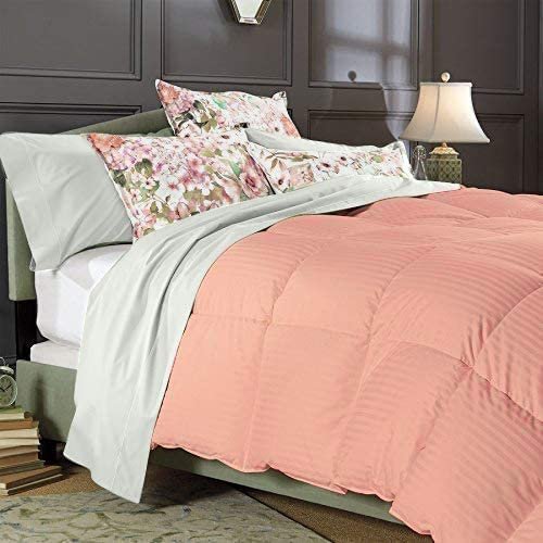 1 PC Box Stitched Peach Stripe Comforter | Oversized King-All Season Goose Down Feather 100% Egyptian Cotton Yarns- 500 GSM Fill Weight Ultra Soft,Cloud Fluffy Duvet Insert with Corner Tabs