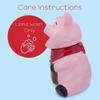 100 North Dolomite Ceramic 10.4 x 7.6 Everyday Cookie & Candy Jar with Airtight Lid: Perfect for Kitchen Canisters, Pet Treat Containers & Decorative Farmhouse Storage, Pig Sign Oink view 3
