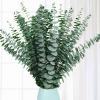 20 Pcs Preserved Dried Eucalyptus Stems, 17" Natural Fresh Eucalyptus Branches for Shower, Real Plant for Vase Filler, Dried Flowers Arrangement, Floral Home Decor view 1