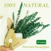 20 Pcs Preserved Dried Eucalyptus Stems, 17" Natural Fresh Eucalyptus Branches for Shower, Real Plant for Vase Filler, Dried Flowers Arrangement, Floral Home Decor view 3