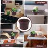 Seaweed Woven Plant Basket, Decorative Flower Pot Planter for Home Office view 3
