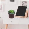 Seaweed Woven Plant Basket, Decorative Flower Pot Planter for Home Office view 4