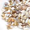 Yew & Tulip Natural Crushed Shells Chips, 64 oz (4 lb) Irregular Mother of Pearl Mosaic Fragments for Crafts, Home Dcor, Vase Filler, Wedding, Fish Tank, Wedding, DIY etc. (64 oz (4 lb), Warm) view 3