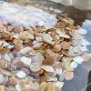 Yew & Tulip Natural Crushed Shells Chips, 64 oz (4 lb) Irregular Mother of Pearl Mosaic Fragments for Crafts, Home Dcor, Vase Filler, Wedding, Fish Tank, Wedding, DIY etc. (64 oz (4 lb), Warm) view 4