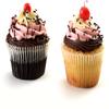 1500 Jumbo Cupcake Muffin Liners 2 1/4" X 1 7/8" | Large Tall White Fluted Baking Cups Cupcake Liners view 3
