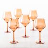 Fortessa Sole Outdoor Shatter Resistant BPA Free Premium Copolyester Plastic Drinkware 6 Pack, Terra Cotta Orange, Cabernet Glass view 3