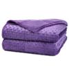 Alomidds Weighted Blanket (60"x80",15lbs Queen Size - Purple), Weighted Blankets for Adults, Breathable Soft and Comfort Minky, Heavy Blanket Microfiber Material with Glass Beads view 1