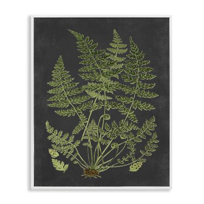 Stupell Industries Botanical Drawing Green Black Design, Design by Lettered and Lined