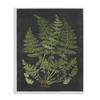 Stupell Industries Botanical Drawing Green Black Design, Design by Lettered and Lined view 1