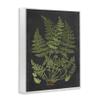 Stupell Industries Botanical Drawing Green Black Design, Design by Lettered and Lined view 3