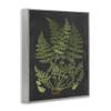 Stupell Industries Botanical Drawing Green Black Design, Design by Lettered and Lined view 3