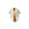 1 Pcs Authentic Beaver Real Taxidermy Genuine Animal Bones Hunting Cabin Decor view 2