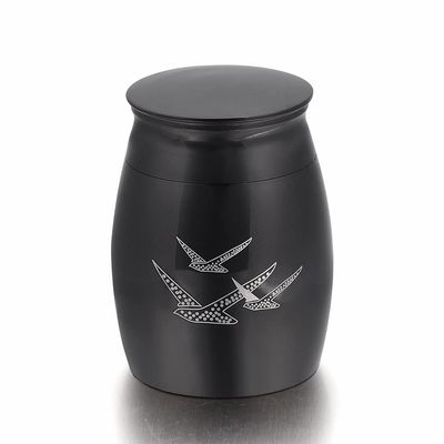 BIAIHQIE Going Home Memorial Keepsake Urn with Fancy Box - Wings of Freedom Keepsake Urn - Urn for Ashes L