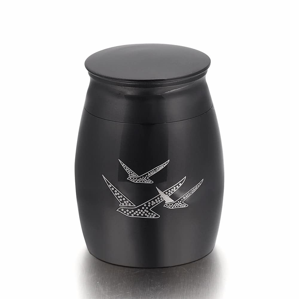 BIAIHQIE Going Home Memorial Keepsake Urn with Fancy Box - Wings of Freedom Keepsake Urn - Urn for Ashes L