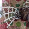 Country Rustic Santa Merry Christmas Deco Mesh Wreath. Available in 24 inch and 28 inch diameters. view 3
