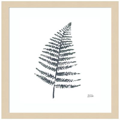 Amanti Art Framed Wall Art Print 17x14 Fern I by Melissa Averinos, Flowers Wall Art, Modern Contemporary Decor, Small Poster Painting Artwork for Living Room, Bedroom, Bathroom, Kitchen, Office or