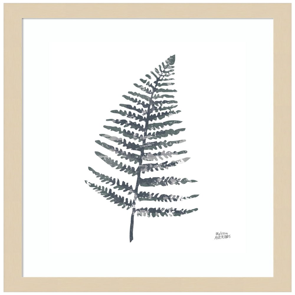 Amanti Art Framed Wall Art Print 17x14 Fern I by Melissa Averinos, Flowers Wall Art, Modern Contemporary Decor, Small Poster Painting Artwork for Living Room, Bedroom, Bathroom, Kitchen, Office or