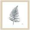 Amanti Art Framed Wall Art Print 17x14 Fern I by Melissa Averinos, Flowers Wall Art, Modern Contemporary Decor, Small Poster Painting Artwork for Living Room, Bedroom, Bathroom, Kitchen, Office or view 1