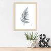 Amanti Art Framed Wall Art Print 17x14 Fern I by Melissa Averinos, Flowers Wall Art, Modern Contemporary Decor, Small Poster Painting Artwork for Living Room, Bedroom, Bathroom, Kitchen, Office or view 4