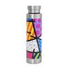 BRITTO Insulated Water Bottle - 25oz Leak Proof Stainless Steel Flask, Thermal Sports Cup, Food Grade Quality, BPA-Free, Vacuum Insulation for 24-Hour Cold & 12-Hour Hot - Silver Colorful Landscape view 4