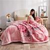 9 Lbs Heavy Mink Blanket King Size (Asian Size:79"X91"/200x230cm) and 2 Ply Reversible Korean Style Plush Soft Blankets for Winter,Super Warm Raschel Velvet Bed Blanket,I,200x230cm view 2