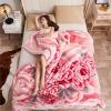 9 Lbs Heavy Mink Blanket King Size (Asian Size:79"X91"/200x230cm) and 2 Ply Reversible Korean Style Plush Soft Blankets for Winter,Super Warm Raschel Velvet Bed Blanket,I,200x230cm view 3