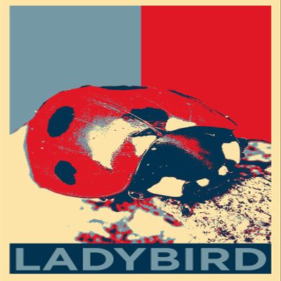 Textured Paper - Ladybird Art Print 'Hope' - Photo Poster Gift - Lady Bird Animal Coccinellidae - Size: 18 x 12 Inches