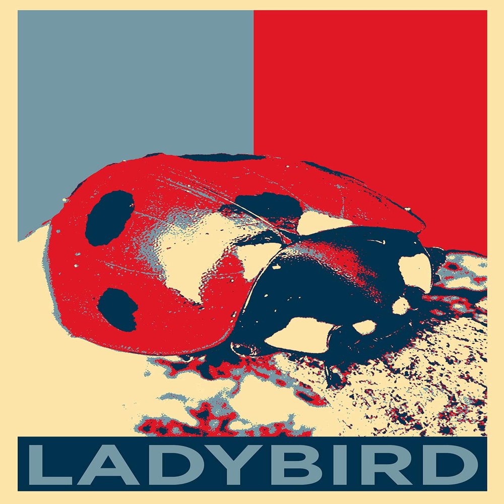 Textured Paper - Ladybird Art Print 'Hope' - Photo Poster Gift - Lady Bird Animal Coccinellidae - Size: 18 x 12 Inches
