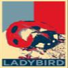 Textured Paper - Ladybird Art Print 'Hope' - Photo Poster Gift - Lady Bird Animal Coccinellidae - Size: 18 x 12 Inches view 1