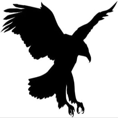 Bald Eagle Wall Decal Soaring Bird Sticker Office Wall Decor Patriotic Silhouette Bird Living Room Den Wall Decor College School Dorm Teen Bedroom (27 X 48 inches)