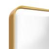 Fundin Plastic Medicine Cabinet, Beveled Edge Mirror Door with Round Corner Metal Frame, Recessed and Surface Mount Bathroom Medicine Cabinet, Golden,16 x 24 inch Mirror Size view 4