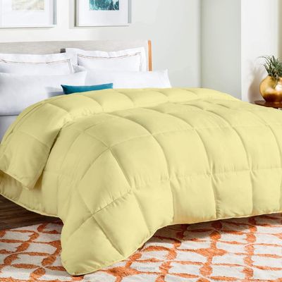 Luxury - Hotel Quality- 800 Thread Count 100% Organic Cotton 500 GSM Fiber Fill 1pc Comforter Box Stitched Down Alternative Alaskan King 136" x 120" Inches, Comforter, Ivory Solid