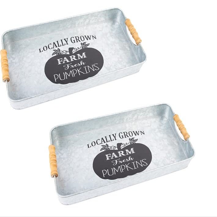 Set of 2 Rustic Metal Serving Trays Locally Grown Farm Fresh Pumpkins, Farmhouse or Primitive Home Decor | Size: 17" Long