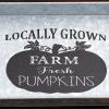 Set of 2 Rustic Metal Serving Trays Locally Grown Farm Fresh Pumpkins, Farmhouse or Primitive Home Decor | Size: 17" Long view 2