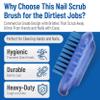 SPARTA Nail Scrub Brush Commercial-Grade, Heavy-Duty Hand and Fingernail Brush with Stiff Bristles for Gardeners, Mechanics, And Foodservice Personnel, Plastic, 5 Inches, Blue view 3