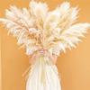 46" inch 10 Stems Natural Pampas Grass Decor Tall, Pompas Grass, Tall Pampas Grass for Weddingm, Farmhouse, Boho Home Decor (Beige) view 1