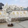 Artificial Cherry Blossom Trees,White Cherry Blossom Tree,Gorgeous Artificial Cherry Blossom Trees,for Indoor Outdoor Home Office Party Wedding,BirthdayParty,Christmas view 3
