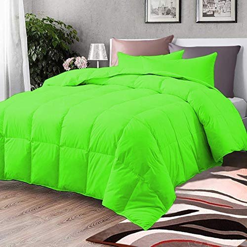 100% Organic Cotton 3 Pieces Comforter Sets Hotel Quality 400 GSM 800TC (1pc Comforter Box Stitch & 2pc Pillow Shams) (Parrot Green Solid Oversize Queen(98"X98") Inch,