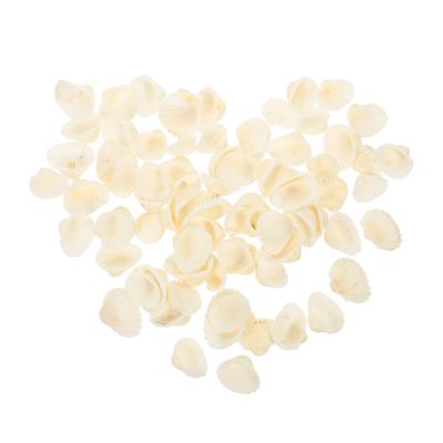 DECHOUS 1set Craft Shell for Fish Tank Decoration Natural Shell Ornament for Aquariums Home Decor for Landscaping Fish Tanks Premium Seashells Included