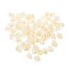 DECHOUS 1set Craft Shell for Fish Tank Decoration Natural Shell Ornament for Aquariums Home Decor for Landscaping Fish Tanks Premium Seashells Included view 1