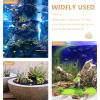DECHOUS 1set Craft Shell for Fish Tank Decoration Natural Shell Ornament for Aquariums Home Decor for Landscaping Fish Tanks Premium Seashells Included view 3