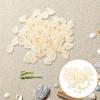 DECHOUS 1set Craft Shell for Fish Tank Decoration Natural Shell Ornament for Aquariums Home Decor for Landscaping Fish Tanks Premium Seashells Included view 4