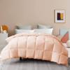100% Organic Cotton 3 Pieces Comforter Sets Hotel Quality 400 GSM 800TC (1pc Comforter Box Stitch & 2pc Pillow Shams) (Peach Solid Twin Size(68"X90") Inch, view 2