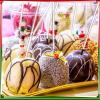 Zopeal 200 Pcs Acrylic Lollipop Sticks Clear Cake Pops Rods Cake Topper Candy Cupcake Treat Stick for Wedding Chocolate Cookie Dessert Handmade DIY Crafts Party Decor Gardening(10 x 0.16 Inches,Clear) view 3