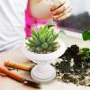 Happyyami Elegant Roman Column Flowerpot Thick Plastic for Planting Flowers at Home view 3
